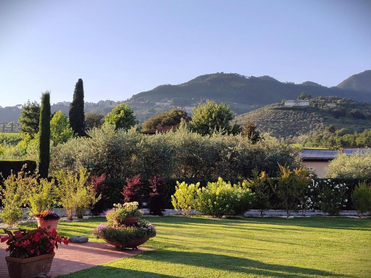 Tuscan Villa Exclusive Use Of Private Pool A/C Wifi Villa Briciola Capannori Bagian luar foto