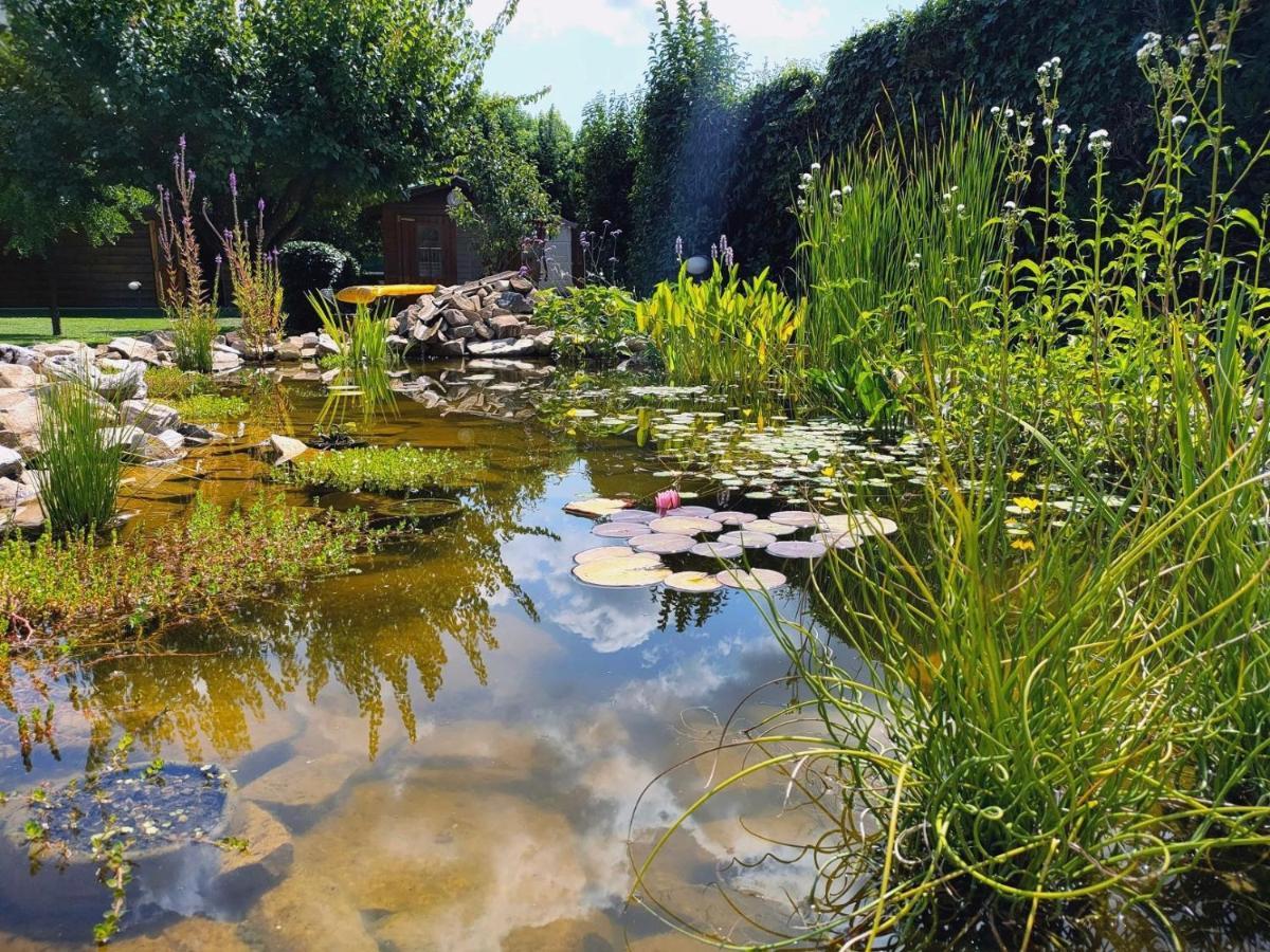 Tuscan Villa Exclusive Use Of Private Pool A/C Wifi Villa Briciola Capannori Bagian luar foto