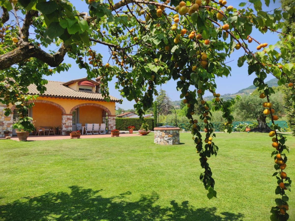 Tuscan Villa Exclusive Use Of Private Pool A/C Wifi Villa Briciola Capannori Bagian luar foto