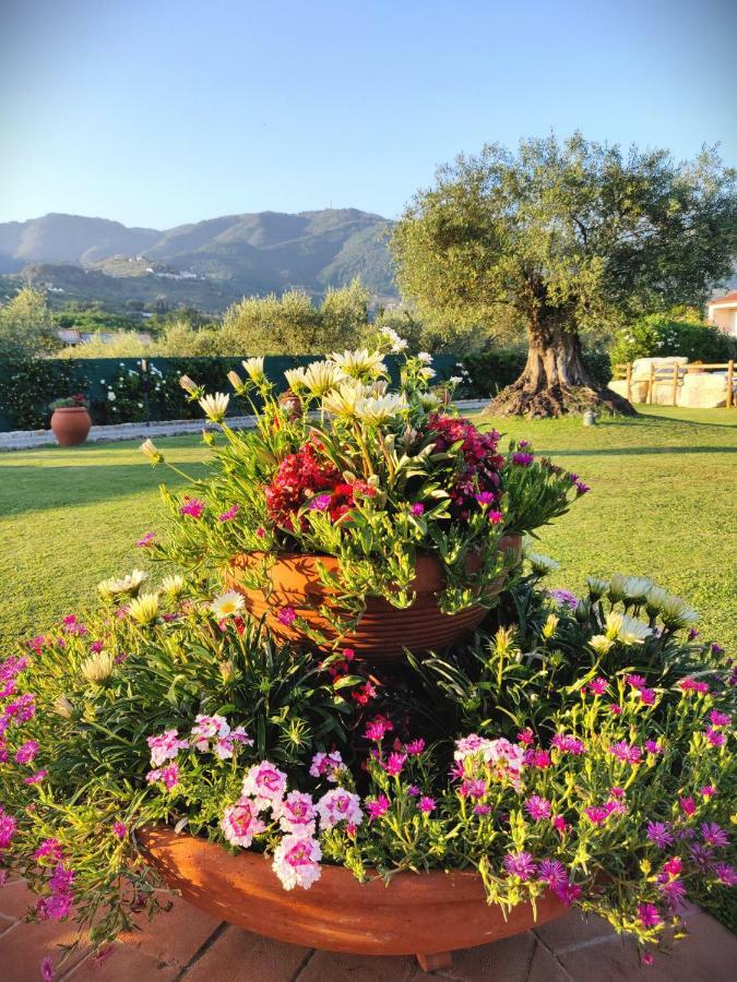 Tuscan Villa Exclusive Use Of Private Pool A/C Wifi Villa Briciola Capannori Bagian luar foto